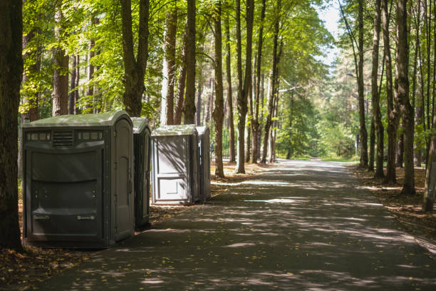 Best Porta potty rental near me  in Whitehouse, OH
